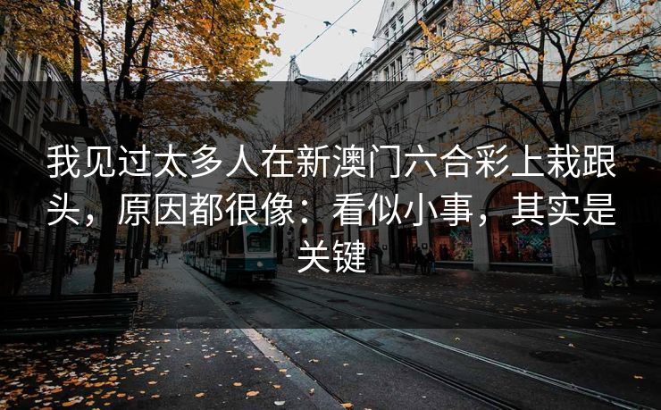 我见过太多人在新澳门六合彩上栽跟头，原因都很像：看似小事，其实是关键