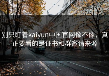 别只盯着kaiyun中国官网像不像，真正要看的是证书和群邀请来源