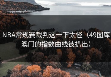 NBA常规赛裁判这一下太怪（49图库澳门的指数曲线被扒出）