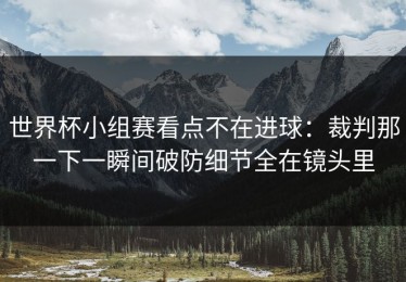 世界杯小组赛看点不在进球：裁判那一下一瞬间破防细节全在镜头里