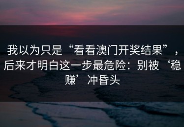 我以为只是“看看澳门开奖结果”，后来才明白这一步最危险：别被‘稳赚’冲昏头
