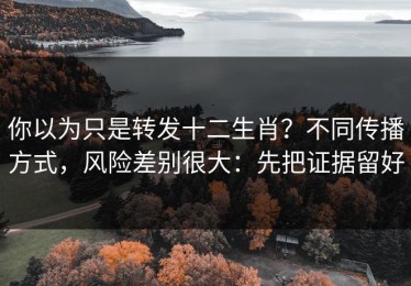 你以为只是转发十二生肖？不同传播方式，风险差别很大：先把证据留好