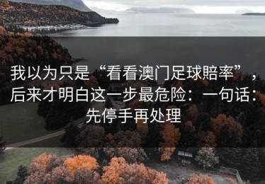 我以为只是“看看澳门足球賠率”，后来才明白这一步最危险：一句话：先停手再处理