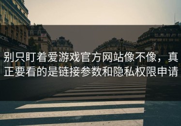 别只盯着爱游戏官方网站像不像，真正要看的是链接参数和隐私权限申请