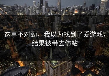 这事不对劲，我以为找到了爱游戏，结果被带去仿站