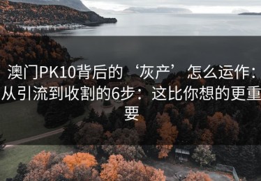 澳门PK10背后的‘灰产’怎么运作：从引流到收割的6步：这比你想的更重要